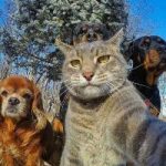 Ảnh đại diện của thidiem416