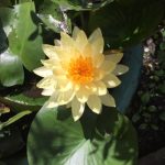 Ảnh đại diện của kalidangki5