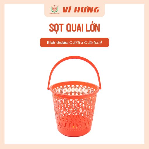 SỌT QUAI LỚN - Hình ảnh 3
