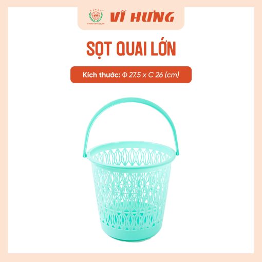 SỌT QUAI LỚN - Hình ảnh 4