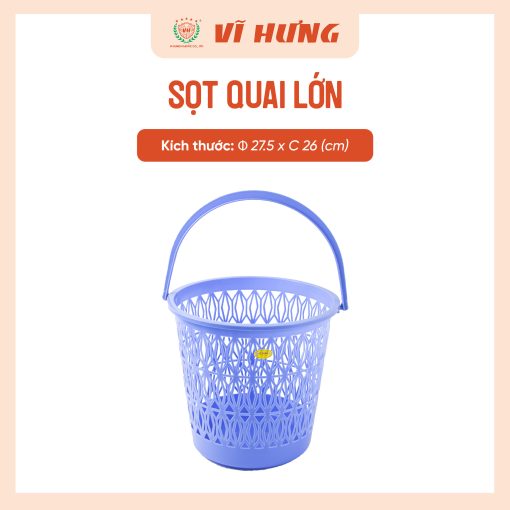 SỌT QUAI LỚN - Hình ảnh 5