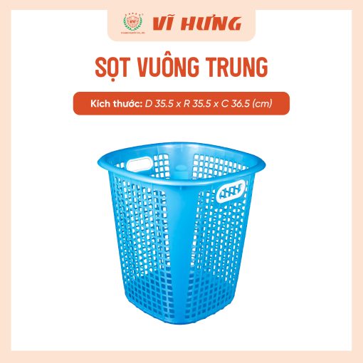 SỌT VUÔNG TRUNG - Hình ảnh 9