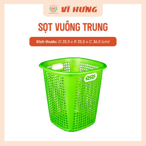 SỌT VUÔNG TRUNG - Hình ảnh 7