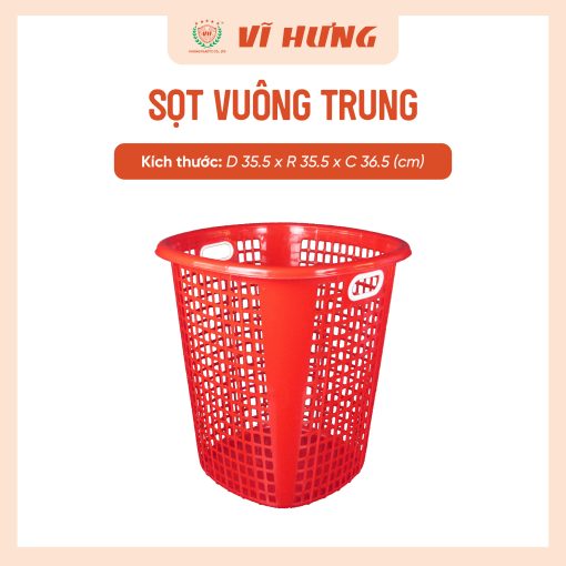 SỌT VUÔNG TRUNG - Hình ảnh 6