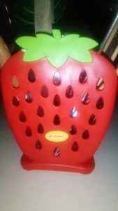 Ảnh về ống đũa dâu Vĩ Hưng