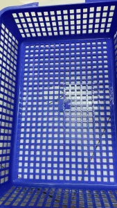 Ảnh về rổ chữ nhật Vĩ Hưng