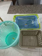 Ảnh về sọt nhựa tròn Vĩ Hưng