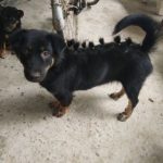 Ảnh đại diện của nguyenhongdao98