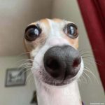 Ảnh đại diện của xzcomputer