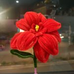 Ảnh đại diện của d*****6