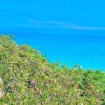 Ảnh đại diện của nhitran_280692