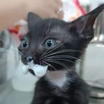 Ảnh đại diện của sonseunghyun