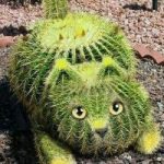 Ảnh đại diện của xuka24082016