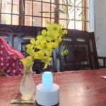 Ảnh đại diện của lamthientruc123