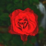 Ảnh đại diện của leejongmyung