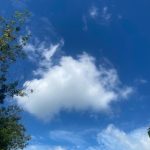 Ảnh đại diện của minhthugianhan