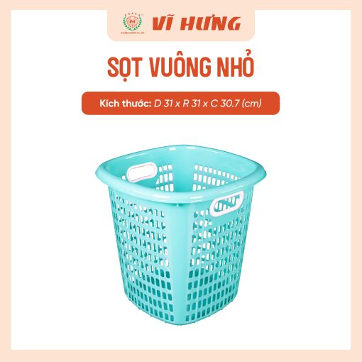 SỌT VUÔNG NHỎ - Hình ảnh 4