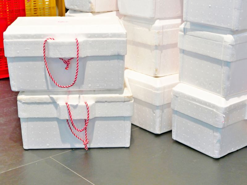 polystyrene-10