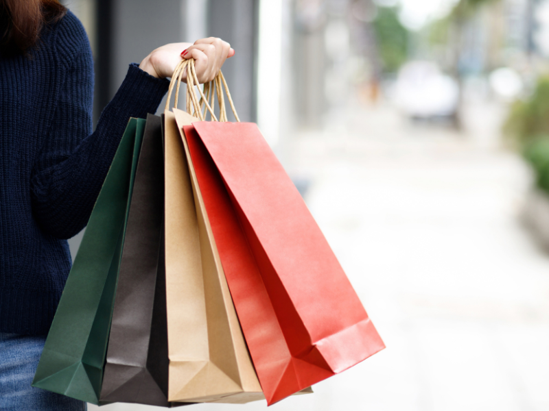 tui-giay-hay-tui-ni-long1