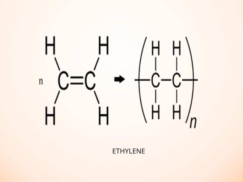 nhua-black-pe-la-gi-4