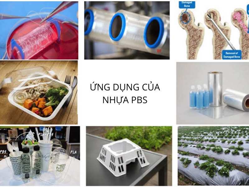 nhựa pbs 5