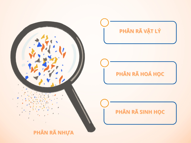 phân ra nhựa 1