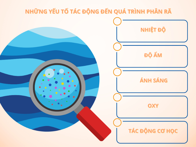 phân ra nhựa 3