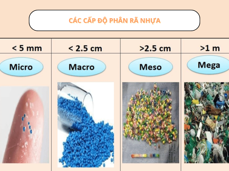 phân ra nhựa 4