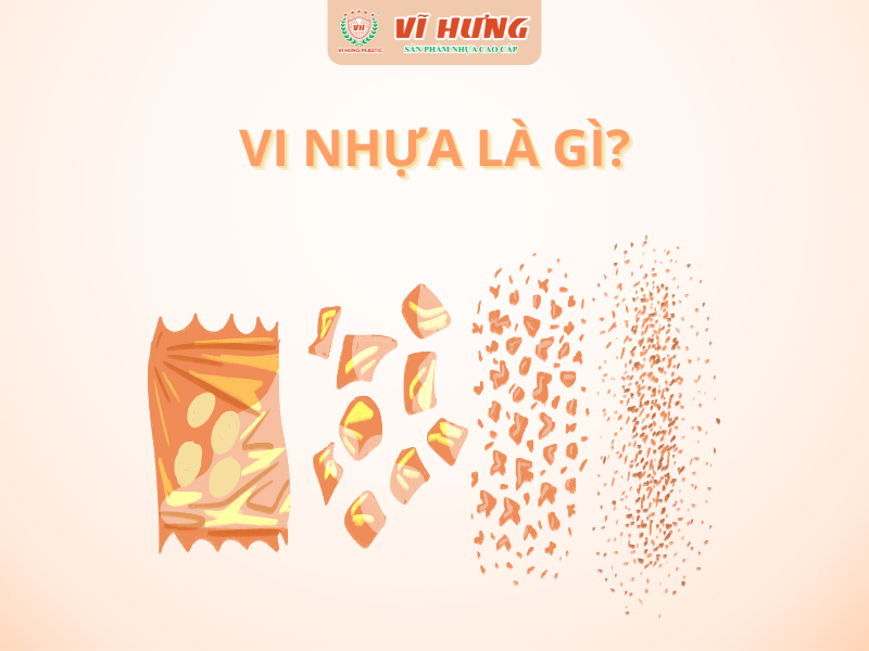 vi-nhua-la-gi-1
