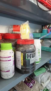 Ảnh về ống tăm tròn Vĩ Hưng