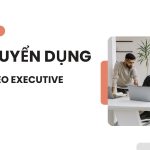 tuyển dụng seo executive