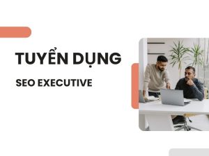 tuyển dụng seo executive