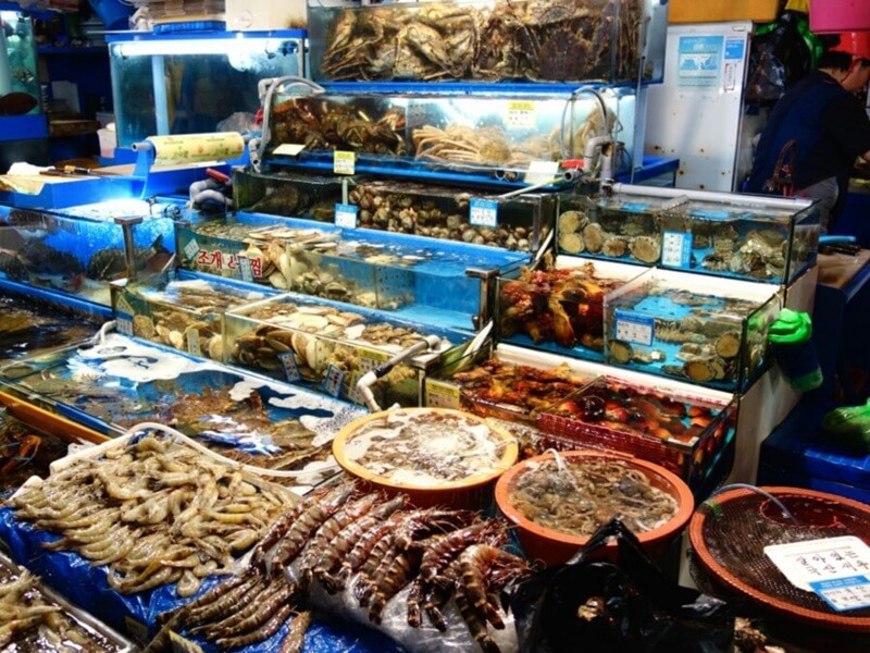 Quầy hải sản tươi sống tại chợ với bể kính chứa tôm, cua, sò và nhiều loại hải sản đang được bày bán