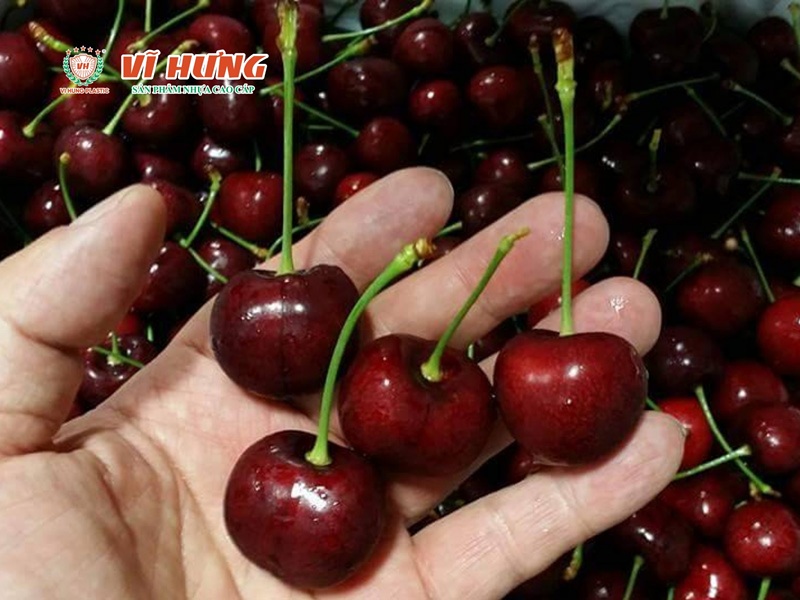 Trái cây nhập khẩu như cherry và nho